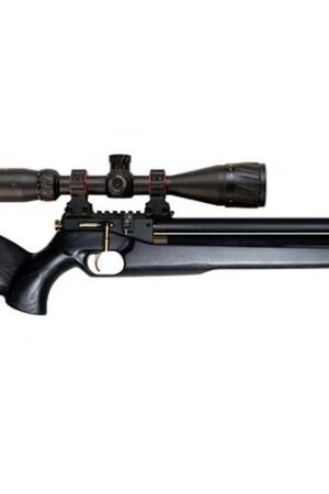 Rifle-Hortitsia-330-200