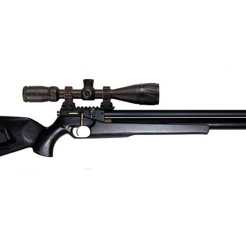Rifle-Hortitsia-450-230
